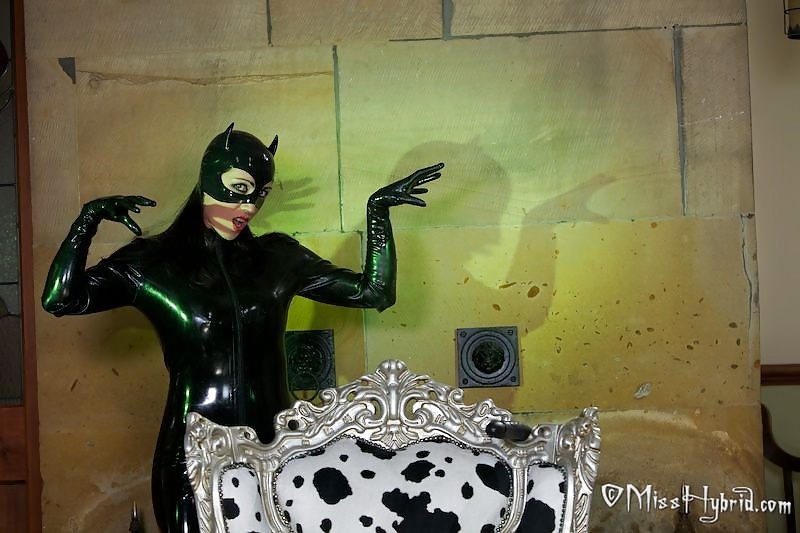 Sexy Asian Cosplay Girl As Catwoman (11/15)