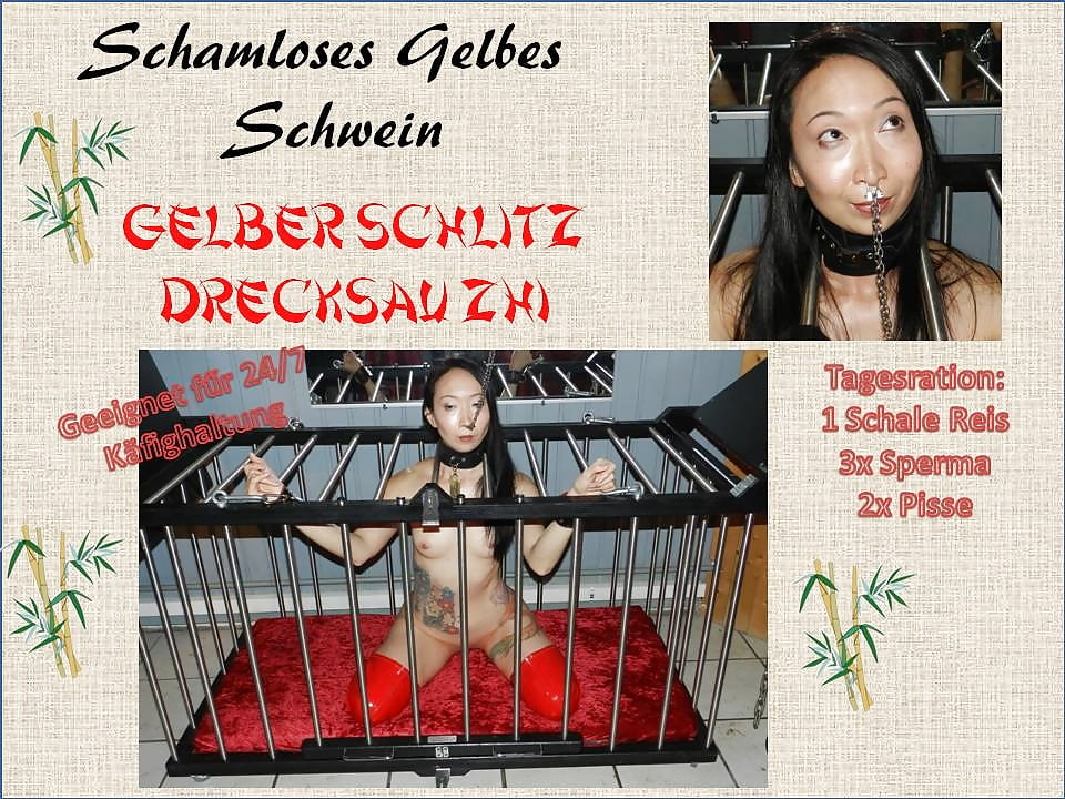 Drecksau Zhi - Schamloses gelbes Schwein Poster (3/14)