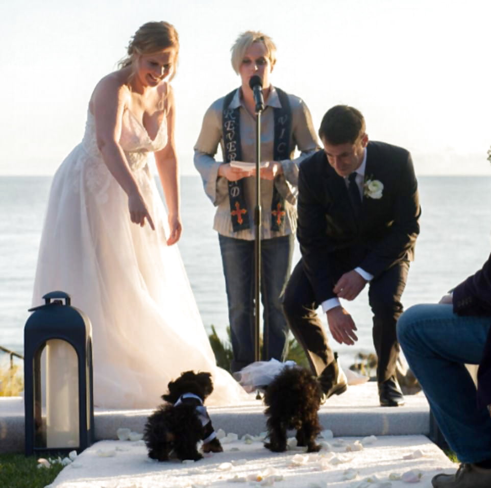 Amy Schumer (IG) Wedding Pics 2-13-18 (4/9)