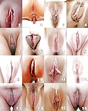 What_is_your_type_of_vagina (6/6)
