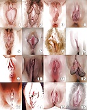 What_is_your_type_of_vagina (4/6)