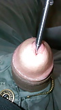 Insertion on urethra (16/71)