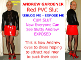 Sissy_Slut_Exposed_Andrew_2 (13/13)
