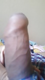 Little_Mexican_cock (3/6)