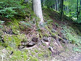 Stinkende verwichste schmutzige Strumpfhose im Wald gefunden (5)