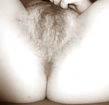 my chubby hairy pussy and ass (2)