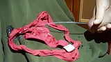 Letting a horny xhamster user unload on my gfs worn thong (2)