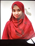 Innocent_Malaysian_Hijabi_Tributed (3/7)