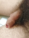 My small hairy cock  (2)