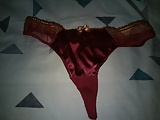 Her_satin_knickers_ (5/60)