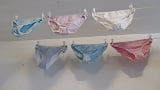 My_girlfriends_underwear (11/18)