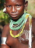 Natural_African_Tits (6/8)