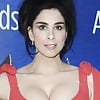 Sarah Silverman's Tits in a Sultry Scarlet Gown (13)