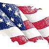 536- Viva los Estados Unidos! (481)