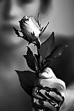 Mystery of Dark Roses (13)