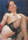 Sexy_vintage_porn_models_showing_hot_hairy_pussy_wearing_stockings (3/11)