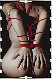 submissive_slavegirls_ (11/31)