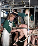 cow girl milking male (24)