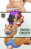 Crossed circuits (15)