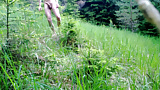 flashing_in_the_forest (10/11)