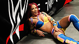 WWE_Divas _Sasha_Banks (6/13)