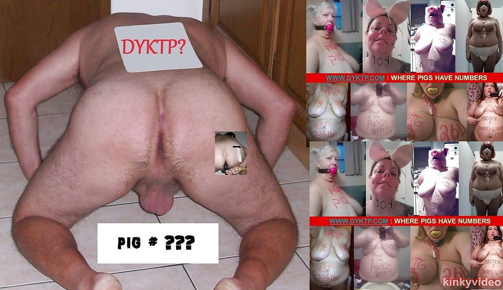 pig is exposed for reposting 1 - Photo #78 
