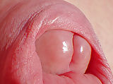 Lick inside my foreskin - taste my moist glans ? (1)