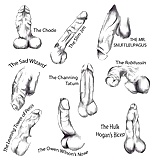What_is_your_type_of_penis (2/2)