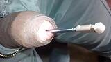 Insertion_on_urethra (37/71)