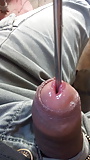 Insertion_on_urethra (35/71)