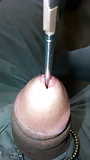 Insertion on urethra (20/71)