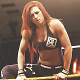 Becky Lynch WWE mega collection (45)