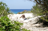 Fkk Strand  nude auf Mallorca 2 (2/21)