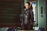 Evangeline Lilly  THE WASP (8)