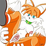 Tails (16/35)