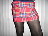 Plaid Mini Skirt Fun (17)