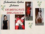 Drecksau Zhi - Schamloses gelbes Schwein Poster (14)