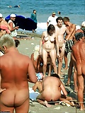 new_beach_beauties (5/95)