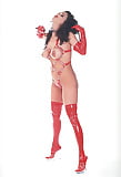 Taime_Hannum s_Cosplay_In_Red_Latex_Harness (3/39)