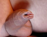 My_uncut_cock _soft _hard _small_and_large  (24/25)