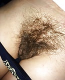 Hairy_close_up (2/3)