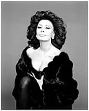 Sophia_Loren_Vogue_Italia_1995 (1/2)