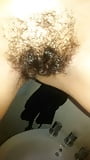 Hairy_pussy_ass_gaping (15/59)