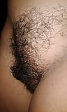 Hairy_pussy_ass_gaping (21/59)