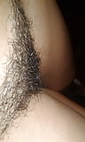 Hairy_pussy_ass_gaping (24/59)