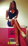 WWE_NIKKI_DIVA_THICK_CHICK (10/14)
