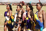 Natural_African_Tits (4/8)