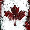 241- Viva Canada ! (30)