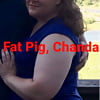 Fat Pig Chanda! (4)