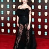 red carpet gowns (70)